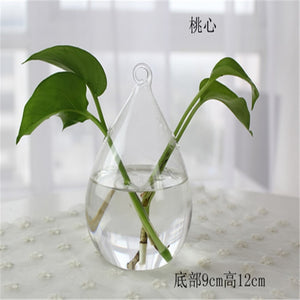 Creative Hydroponic Plant Glass Bottle